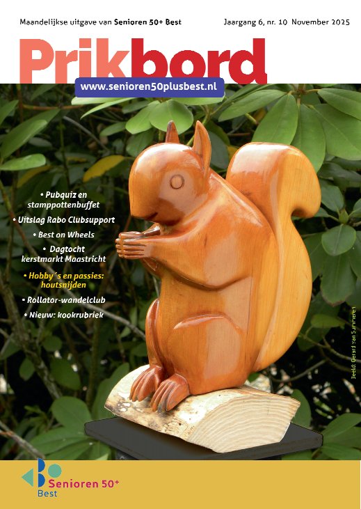 2025 11 voorblad Prikbord